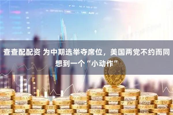 查查配配资 为中期选举夺席位，美国两党不约而同想到一个“小动作”